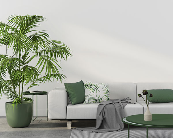 Plant Design - trouvez votre style